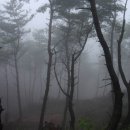 사랑의둥지 이미지