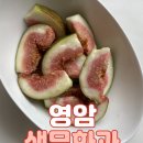 무화과 판매 미쳤당!! 영암 무화과(노지/비닐하우스) 최상급선별 선착순 판매 이미지