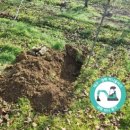 대명중기 이미지