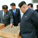 거북농장 이미지