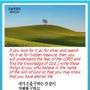 오늘의양식 네이버블로그