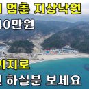 바닷가 근처에 지상낙원 약243평 단돈40만원~자연인 하실분 보세요[땅지통] 이미지