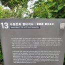 서울 관광지 경복궁 야간개장 관람후기