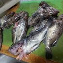 바다로가는길목펜션 이미지