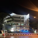 Wiz-Pet 동물병원 | 애견동반 치앙마이 한달살기 - 치앙마이 동물병원 후기(Thonglor Pet Hospital Chiang Mai Airport)