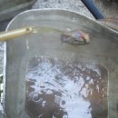 통일카센타 이미지