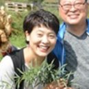 뽕나무영농조합법인
