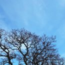 섬마을목장 이미지