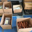 일희농장 이미지