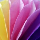 색채심리상담사 2급 이미지