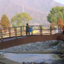 덕풍천 산책로 이미지