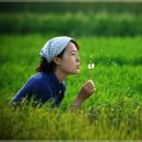 동삼1동-14 이미지