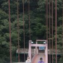 남천제방길 티스토리