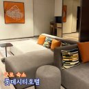 1박2일운동화빨래방 | 구로 숙소 롯데시티호텔 조식 헬스장 편안했던 1박 2일