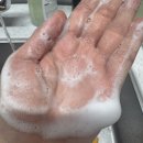 아이솝 | 아이깨끗해 핸드솝 숲 속 산책향 내돈내산 후기