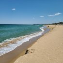 동해우리마트 이미지