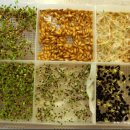 군포굿닥터동물병원 이미지