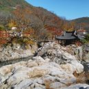 소풍가는날 이미지