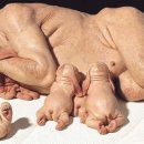 저팔계 이미지