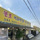 다옴 햇골 캠핑장 네이버블로그