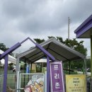 파리바게트 오산점 | 도그스포지움 - 송추 양주 스케일 큰 강아지 수영장 상세후기+외부음식 반입 완전가능!