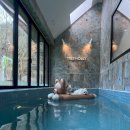 트리몰리 이미지