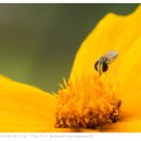 봉은중학교 이미지