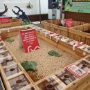 경주부화장 이미지