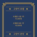 나만 없어 고양이 이미지