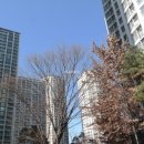 파크리오공인중개사사무소 이미지