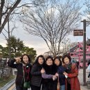 변산초교 이미지