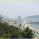 해인카페 이미지