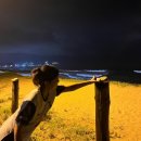 양양 슬로우웨이브 오션뷰 가족 펜션 | [양양] 무계획 P부부의 급 떠난 양양 여행로그 • 슬로우웨이브펜션• 정암해변 (태풍 종다리의습격)