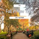 골든빌딩(리갈피) | 가을 뉴욕 정복 A to Z! 놓치면 후회할 단풍 &amp; 브로드웨이 &amp; 야경 명소