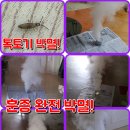 청도 선산 예천 영주 봉화 울진톡토기방역 톡토기박멸 톡톡기방역 톡톡이박멸 하얀벌레박멸 톡토기훈증방역 완전박멸 이미지