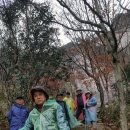 저청중학교 이미지