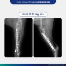 정강동물병원 이미지