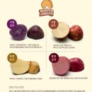 서홍농장 | 함양 칼라감자 농장 방문후기, 영양가득 칼라 감자 요리 후기