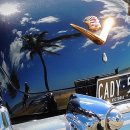 (주)국제여행사 이미지