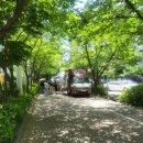 정다함 푸드 이미지