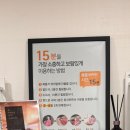 원석매점 | 내돈내산 면역공방 후기, 파동석과 파동수 직접 체험해본 솔직 리뷰