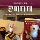 콘파타테