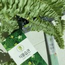 위즈코퍼레이션 이미지