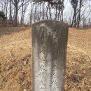 풍수지리(음택, 묘지) Daum카페