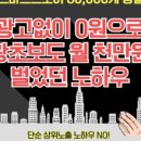 아일랜드스토어