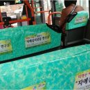 자예심리상담연구소 이미지