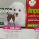 선우약국 이미지