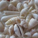 파도소리 이미지