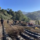 농업기술센터앞 이미지