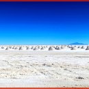 빛과 소금 이미지